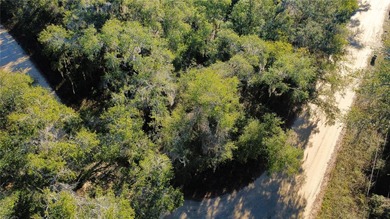 St. Johns River Lot For Sale in Satsuma Florida