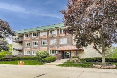 Lake Home For Sale in Arlington Heights, Illinois