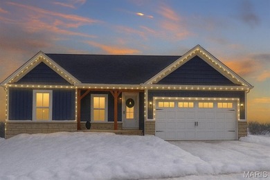 (private lake, pond, creek) Home For Sale in Washington Missouri