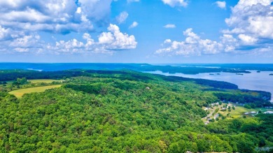 Lake Lot For Sale in Guntersville, Alabama