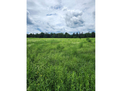 (private lake, pond, coastal) Acreage For Sale in Chateaugay New York