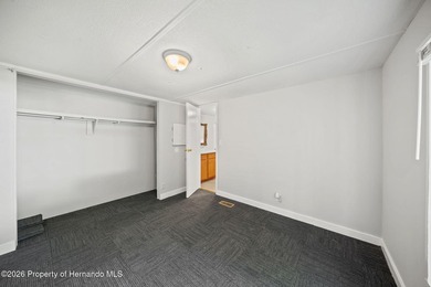 Updated 2/1 Lake Panasoffkee home with a newer metal roof - photo 11