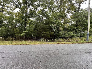 Lake Lot For Sale in Forsyth, Missouri