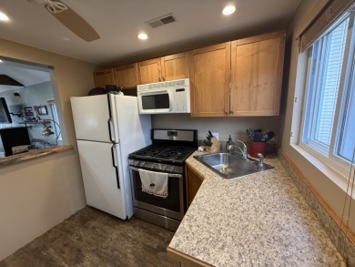 S/W Michigan Sturgeon Lake house - photo 16