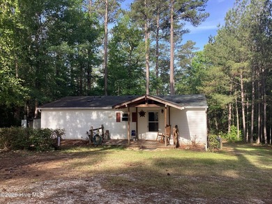 Strom Thurmond / Clarks Hill Lake Home For Sale in Mccormick South Carolina