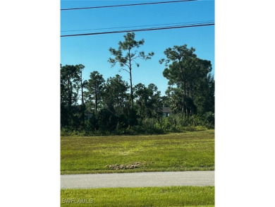 Port Charlotte Waterway Lakes Area Lot For Sale in Punta Gorda Florida