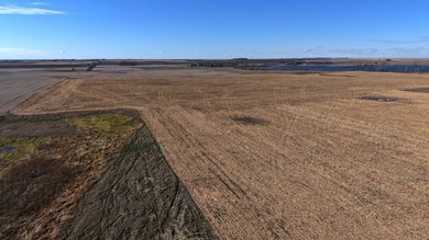 120 +/- acres Hurricane Lake Roberts County, SD. 106 +/- of - photo 11