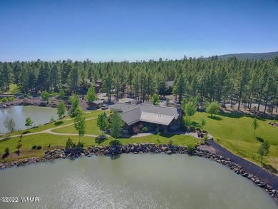 9579 Sierra Springs Dr - photo 11