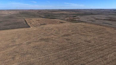 120 +/- acres Hurricane Lake Roberts County, SD. 106 +/- of - photo 14