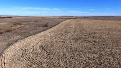 120 +/- acres Hurricane Lake Roberts County, SD. 106 +/- of - photo 18