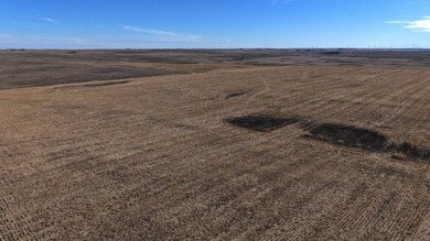 120 +/- acres Hurricane Lake Roberts County, SD. 106 +/- of - photo 19