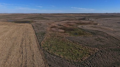 120 +/- acres Hurricane Lake Roberts County, SD. 106 +/- of - photo 20
