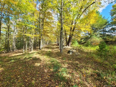 An exceptional opportunity in the heart of the Sullivan - photo 22