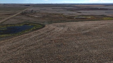 120 +/- acres Hurricane Lake Roberts County, SD. 106 +/- of - photo 23