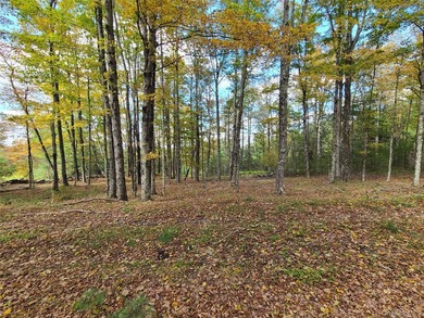 An exceptional opportunity in the heart of the Sullivan - photo 24