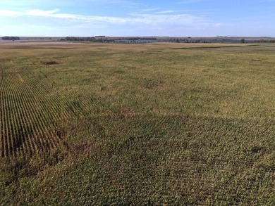 120 +/- acres Hurricane Lake Roberts County, SD. 106 +/- of - photo 25
