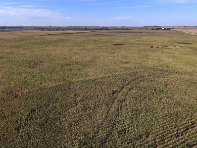120 +/- acres Hurricane Lake Roberts County, SD. 106 +/- of - photo 26