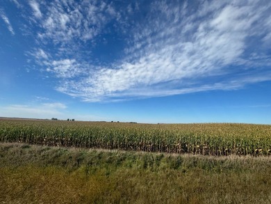 120 +/- acres Hurricane Lake Roberts County, SD. 106 +/- of - photo 28