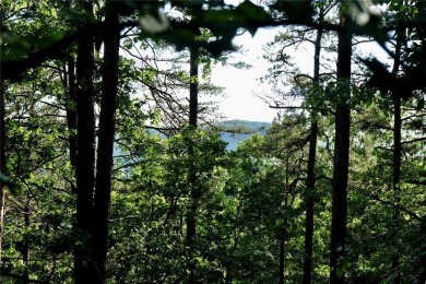 Lake Lot For Sale in Cartersville, Georgia