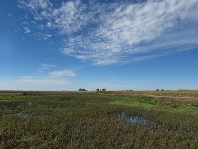 120 +/- acres Hurricane Lake Roberts County, SD. 106 +/- of - photo 31