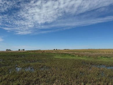 120 +/- acres Hurricane Lake Roberts County, SD. 106 +/- of - photo 33