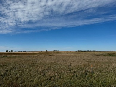 120 +/- acres Hurricane Lake Roberts County, SD. 106 +/- of - photo 35