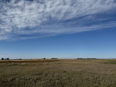 120 +/- acres Hurricane Lake Roberts County, SD. 106 +/- of - photo 36