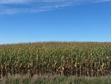 120 +/- acres Hurricane Lake Roberts County, SD. 106 +/- of - photo 37