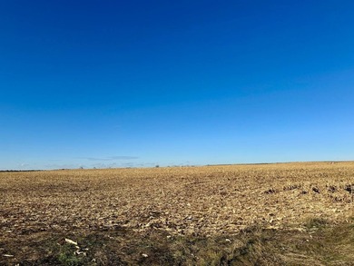 120 +/- acres Hurricane Lake Roberts County, SD. 106 +/- of - photo 38