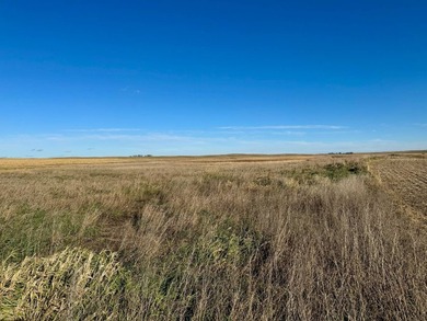 120 +/- acres Hurricane Lake Roberts County, SD. 106 +/- of - photo 40
