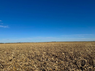 120 +/- acres Hurricane Lake Roberts County, SD. 106 +/- of - photo 41