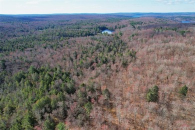 An exceptional opportunity in the heart of the Sullivan - photo 42