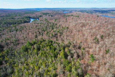 An exceptional opportunity in the heart of the Sullivan - photo 43