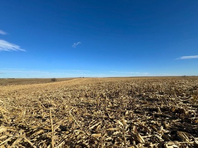 120 +/- acres Hurricane Lake Roberts County, SD. 106 +/- of - photo 46