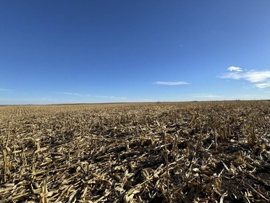120 +/- acres Hurricane Lake Roberts County, SD. 106 +/- of - photo 47