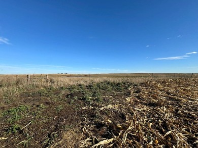 120 +/- acres Hurricane Lake Roberts County, SD. 106 +/- of - photo 49