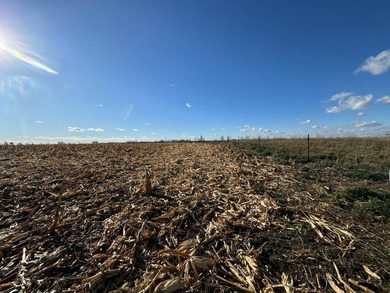 120 +/- acres Hurricane Lake Roberts County, SD. 106 +/- of - photo 50