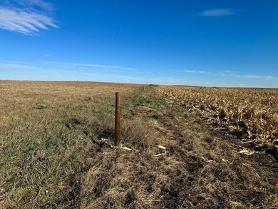 120 +/- acres Hurricane Lake Roberts County, SD. 106 +/- of - photo 53