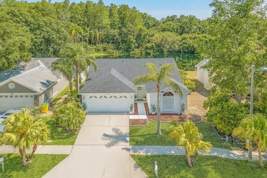 Lake Tarpon Home For Sale in Palm Harbor Florida
