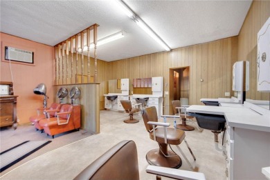 Lake Commercial For Sale in Delano, Minnesota