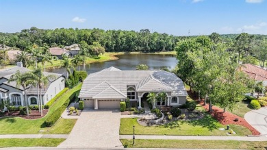Lake Home For Sale in Oldsmar, Florida
