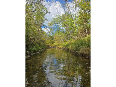 Lake Acreage For Sale in Cadet, Missouri