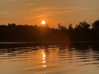S/W Michigan Sturgeon Lake house - photo 1