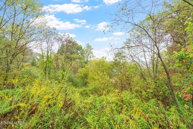 Nestled in the heart of Oak Ridge, Forest Creek Village presents - photo 10