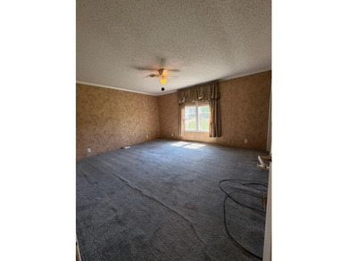 Escape to the Ozarks! Welcome to 64 Inman Drive, Theodosia, MO - photo 12