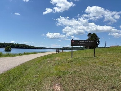 Escape to the Ozarks! Welcome to 64 Inman Drive, Theodosia, MO - photo 22