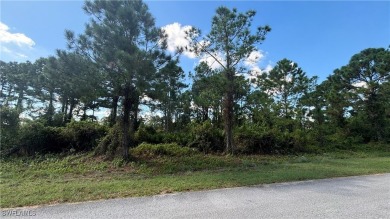 (private lake, pond, creek) Lot For Sale in Lehigh Acres Florida