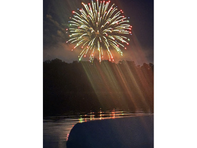 S/W Michigan Sturgeon Lake house - photo 15