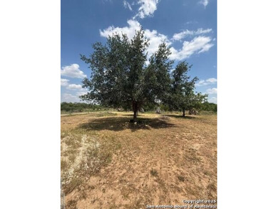 (private lake, pond, creek) Home For Sale in Natalia Texas