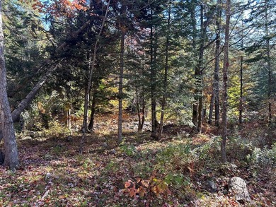 If you've been dreaming of a private Maine getaway surrounded by - photo 6